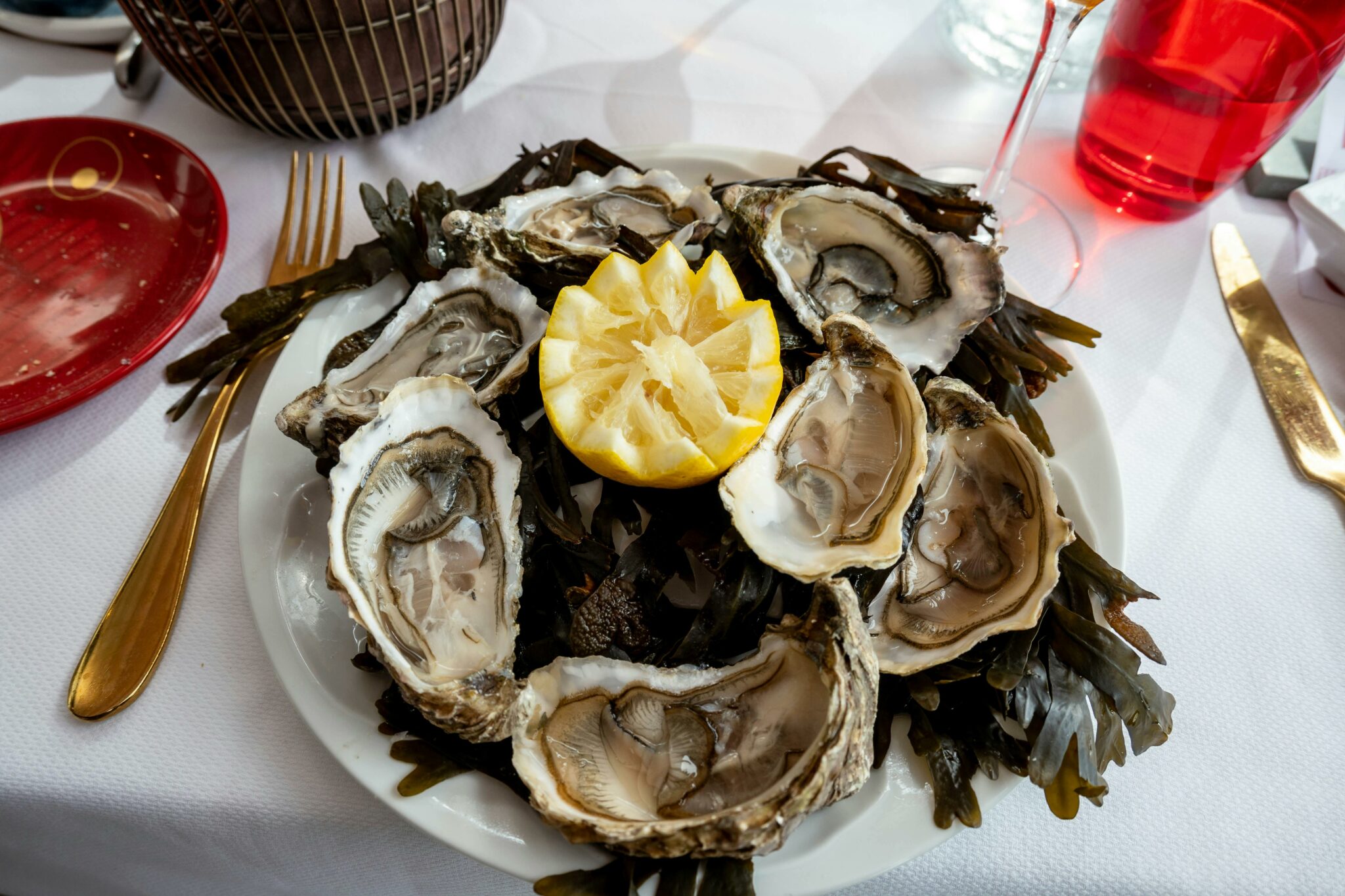 Bar à Huîtres A delicious plate of fresh oysters with a slice of lemon, perfect for seafood lovers.